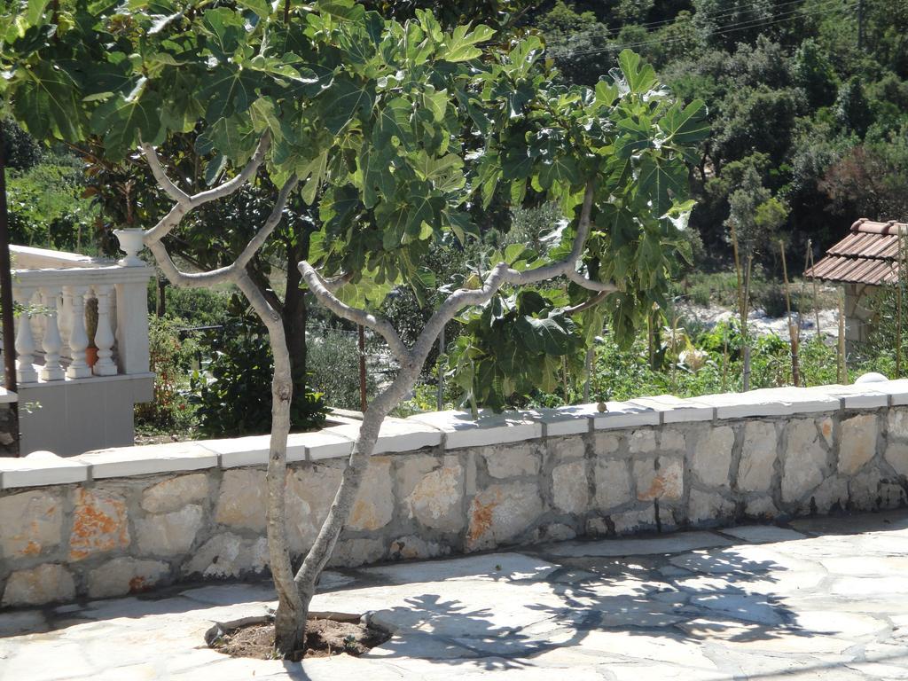 Villa Marica 네움 외부 사진